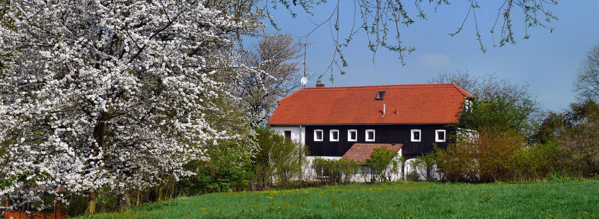 Ein traditionelles Haus mit rotem Dach und dunklen Balken, umgeben von blühenden Bäumen, zeigt Wohnkultur in Hochkirch.