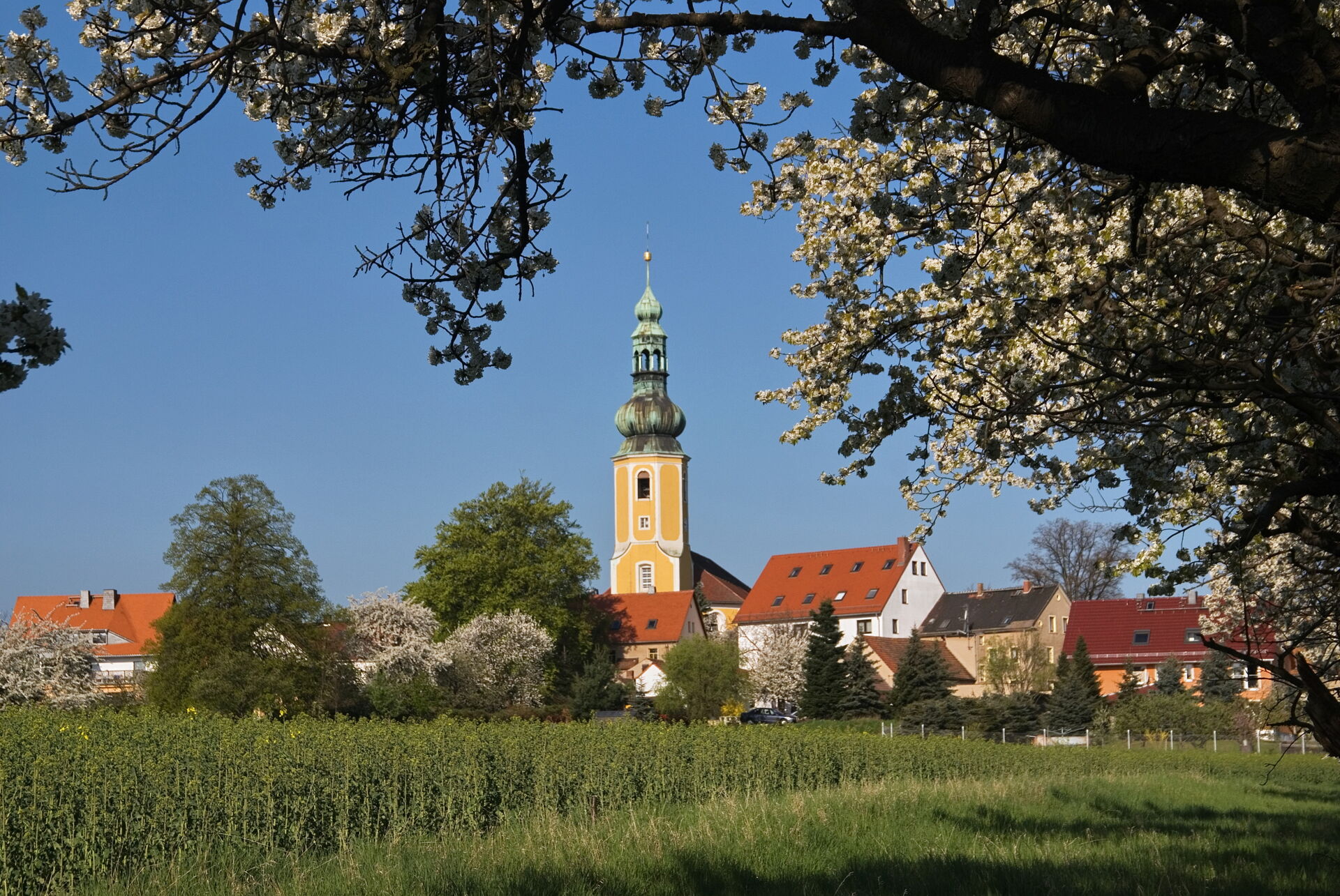 Malerische Frühlingsansicht von Hochkirch mit blühenden Bäumen, grünen Feldern und der gelben Dorfkirche unter blauem Himmel.